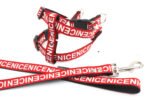 Pet Leash Dog Collar Dog Leash - Image 4