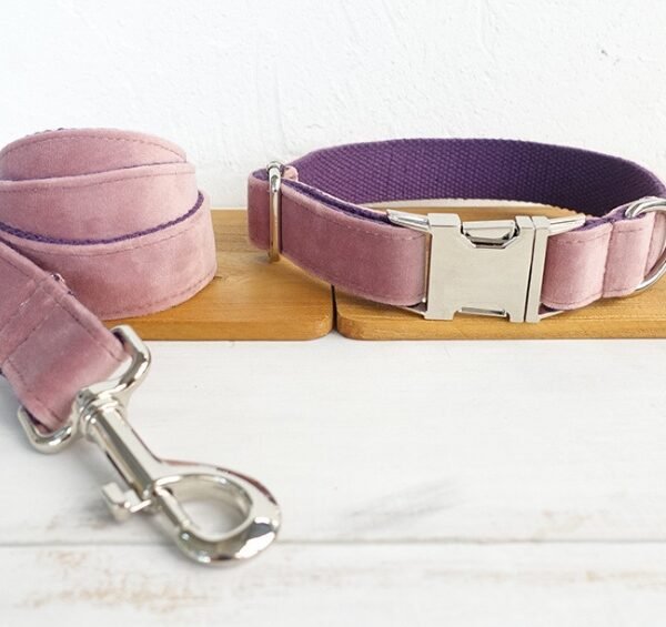 Dog leash pet collar