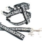 Pet Leash Dog Collar Dog Leash - Image 2