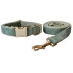 Mint Green Dog Collar Leash - Image 5