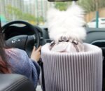 Pet Car Central Control Safety Seat Cushion - Image 6