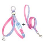Pet Cat Bell Chest Strap Haulage Rope Package Vest Small Dog Teddy Leash - Image 3