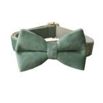 Mint Green Dog Collar Leash - Image 4