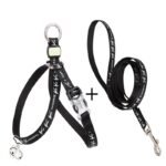 Pet Cat Bell Chest Strap Haulage Rope Package Vest Small Dog Teddy Leash - Image 2