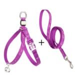 Pet Cat Bell Chest Strap Haulage Rope Package Vest Small Dog Teddy Leash - Image 5