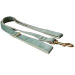 Mint Green Dog Collar Leash - Image 3