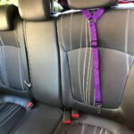 Solid Two-in-one Pet Car Seat Belt Lead Leash BackSeat Safety Belt Adjustable Harness For Kitten Dogs Collar Pet Accessories - Image 3
