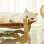 Summer Woven Rattan Hammock For Cat Cool Dog Mat, Pet Marching Bed Off Ground Cat Bed Universal Crib For All Four Seasons - Image 2