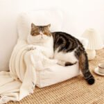 Nordic Sofa Cat Pet Bed - Image 2