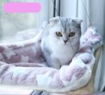 Mat Hammock Swing Four Seasons Universal Pet Bed Balcony Hanging - Image 4