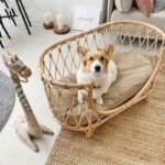 Pet Bed Handmade Rattan Woven Pet Bed Sofa For Dogs - Image 4