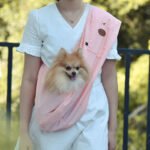 Pet Dog Travel Breathable Backpack One - Image 3