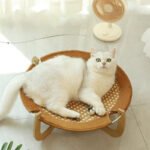 Summer Woven Rattan Hammock For Cat Cool Dog Mat, Pet Marching Bed Off Ground Cat Bed Universal Crib For All Four Seasons - Image 6