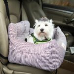 Bo Pull Car Kennel Pet Travel Car Seat