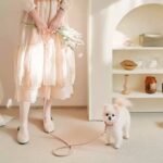 Dog Collar Leather Hand Holding Rope Dog Leash Collar Pet Small And Medium Size - Image 5