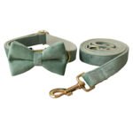 Mint Green Dog Collar Leash - Image 6