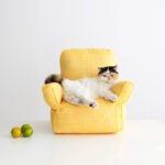 Nordic Sofa Cat Pet Bed - Image 5